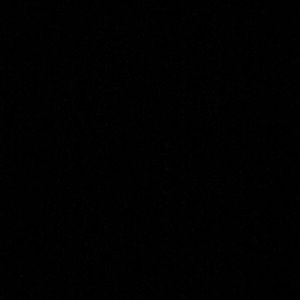 Meet your Posher, Ella